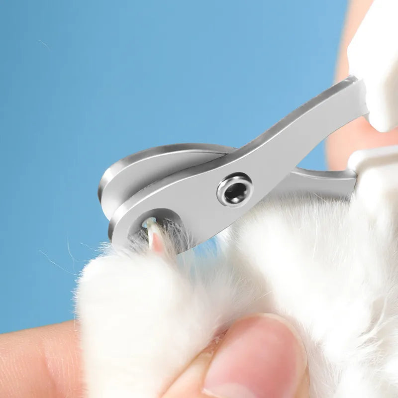 PawCare™ | - Coupe-Ongles Pro pour Chats &  Chiens: Soins Précis, Confort Optimal