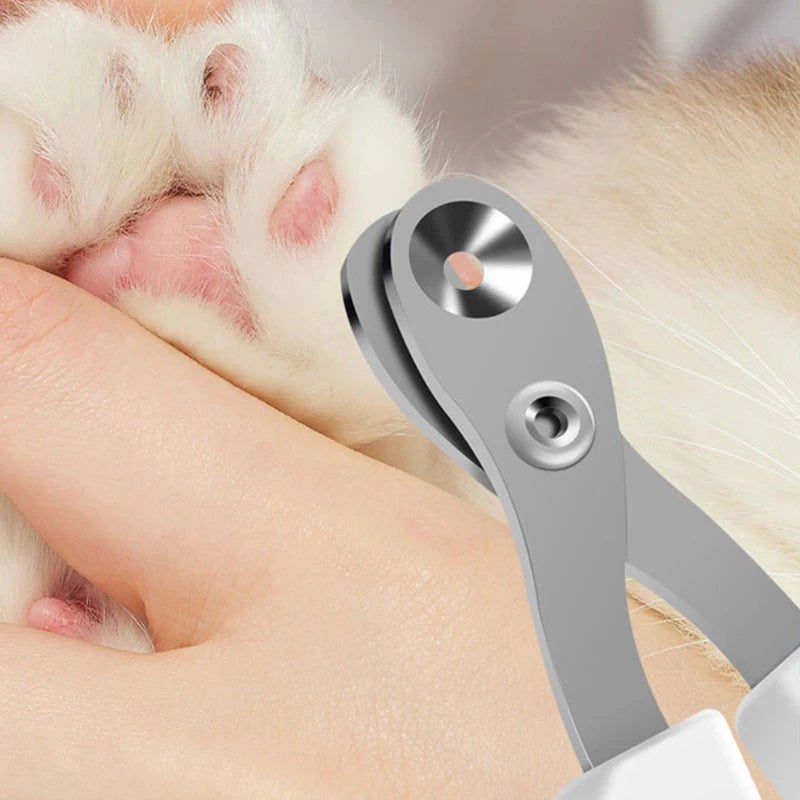 PawCare™ | - Coupe-Ongles Pro pour Chats &  Chiens: Soins Précis, Confort Optimal