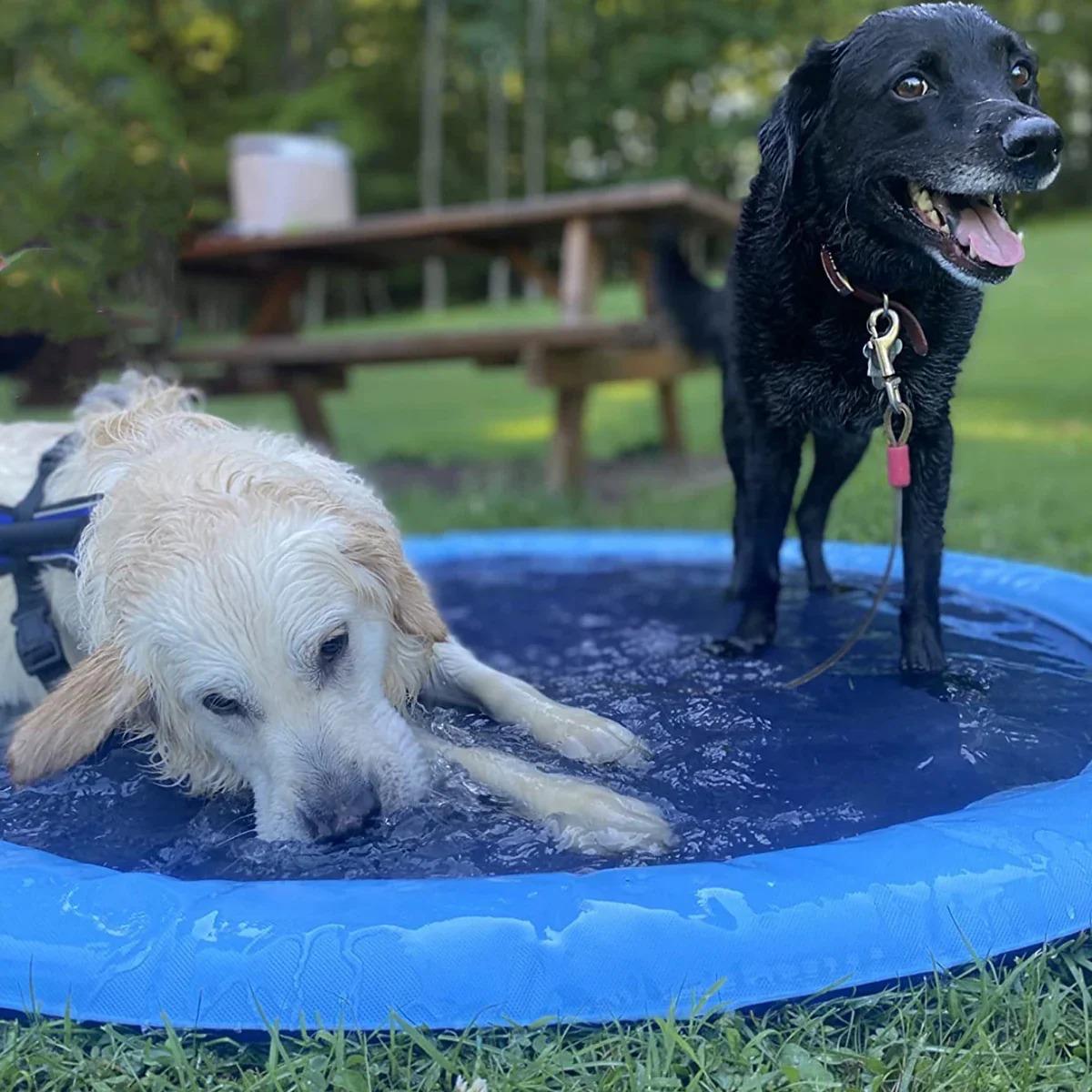 Pets Furry™ - Tapis Refroidissant Été pour Chiens