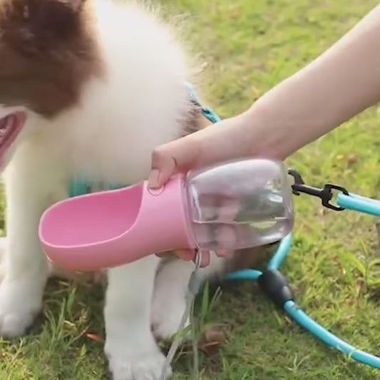 PetHydrate™ | -Bouteille d'eau 2 en 1 pour chiens et chats